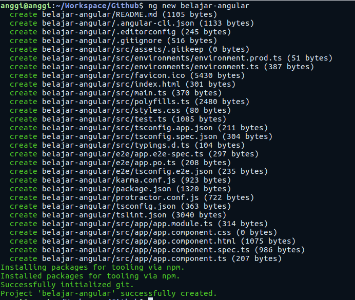 angular cli generate project