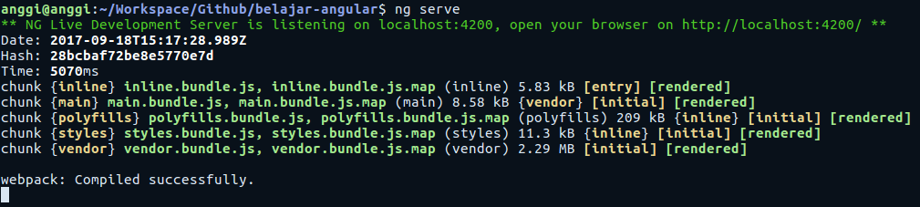 angular cli run project