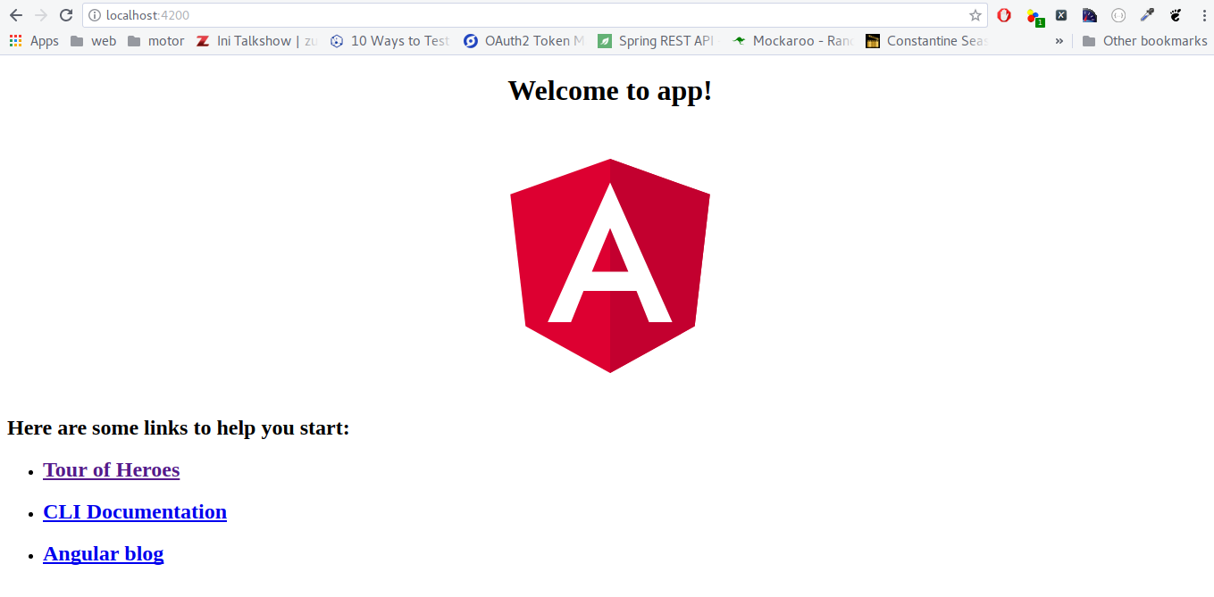 angular cli akses web