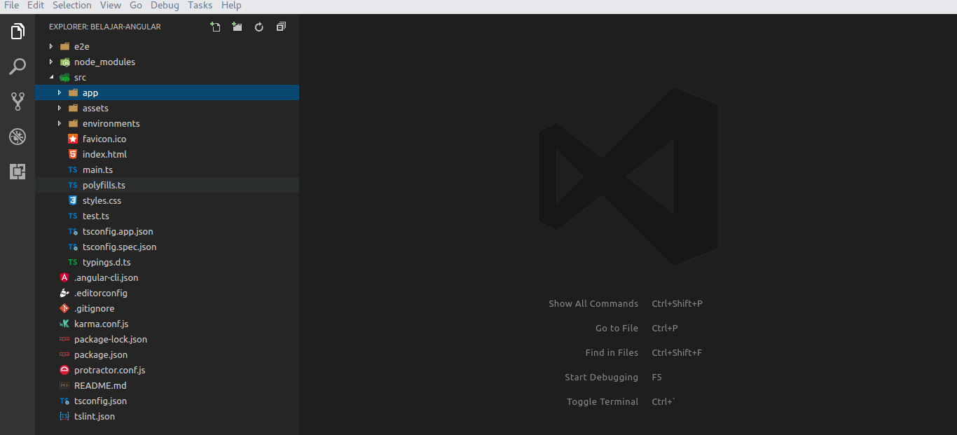 angular cli struktur project
